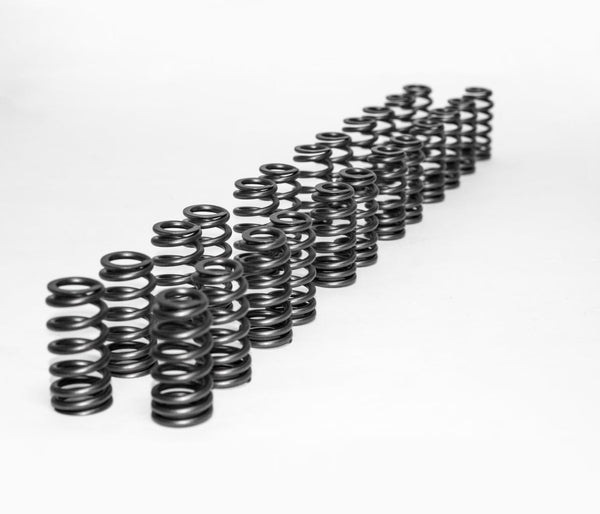 CarBahn High Performance Valve Spring Kit | BMW S55/S58/B58